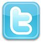 Twitter_Icon-300x295